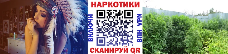 Магазины продажи наркотиков Липецк A-PVP  МЕФ  Кокаин 