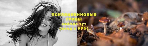 стафф Абдулино