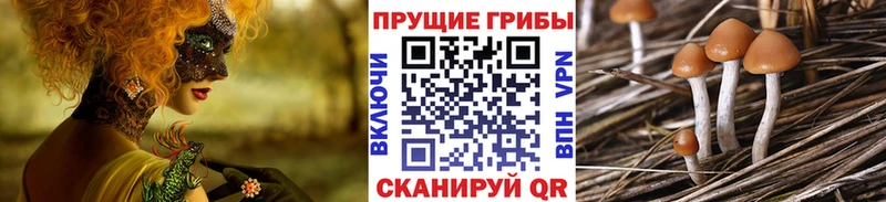 Псилоцибиновые грибы GOLDEN TEACHER  Липецк 